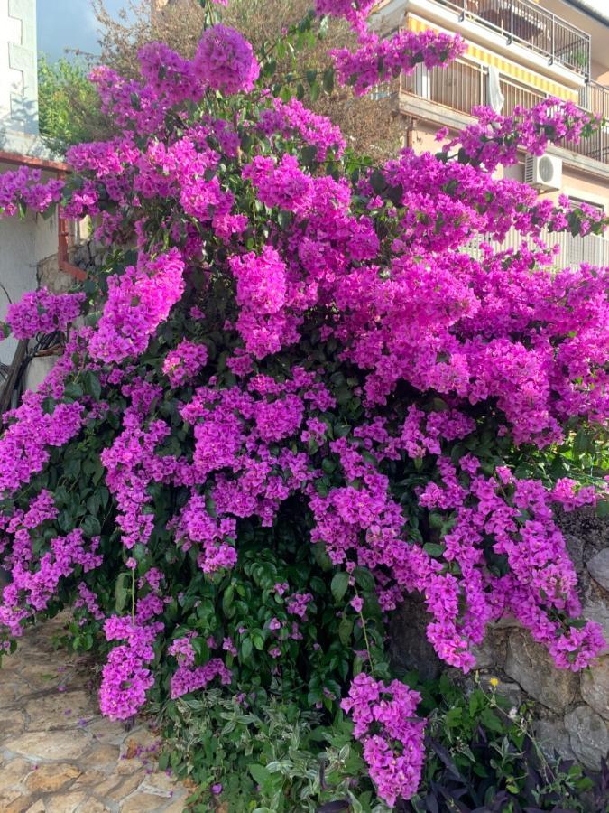 לובראן Holiday House Marica מראה חיצוני תמונה