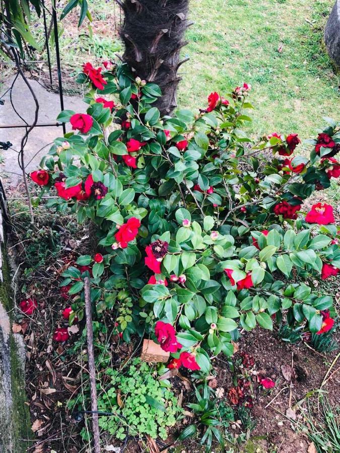 לובראן Holiday House Marica מראה חיצוני תמונה